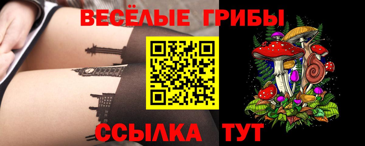 Псилоцибиновые грибы ЛСД Черкесск