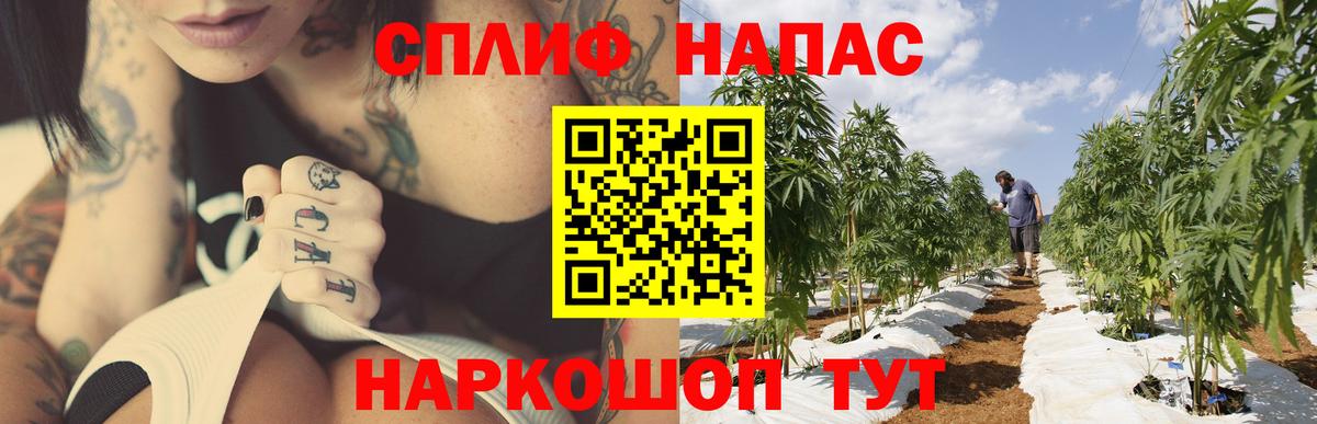 Бошки марихуана планчик  Каннабис индика  Черкесск  Вход с VPN 